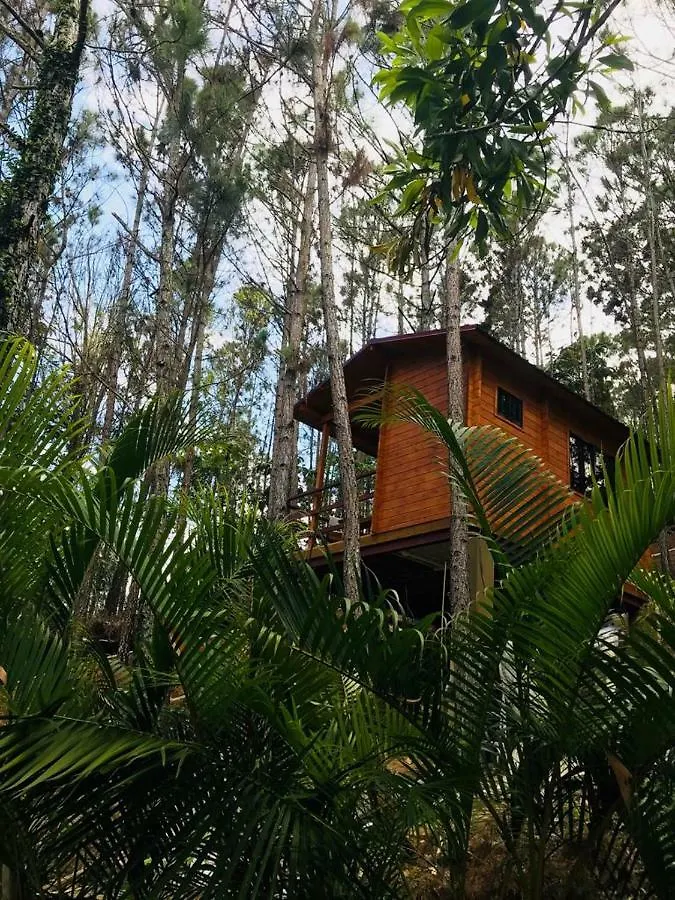 营地 哈拉瓦科阿 Casa De Arbol, Rancho Tierra Alta酒店 多米尼加共和国