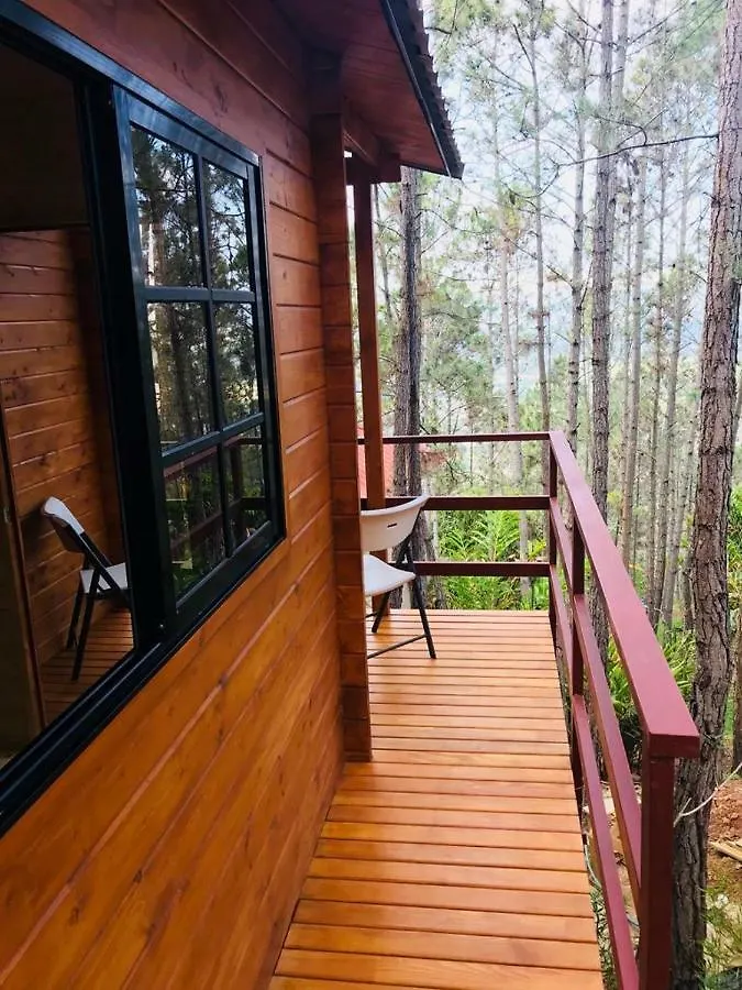营地 哈拉瓦科阿 Casa De Arbol, Rancho Tierra Alta酒店